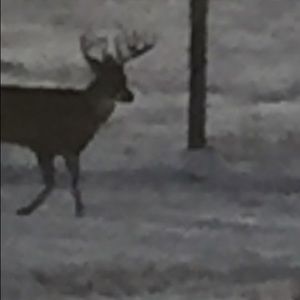 Meet your Posher, Adam